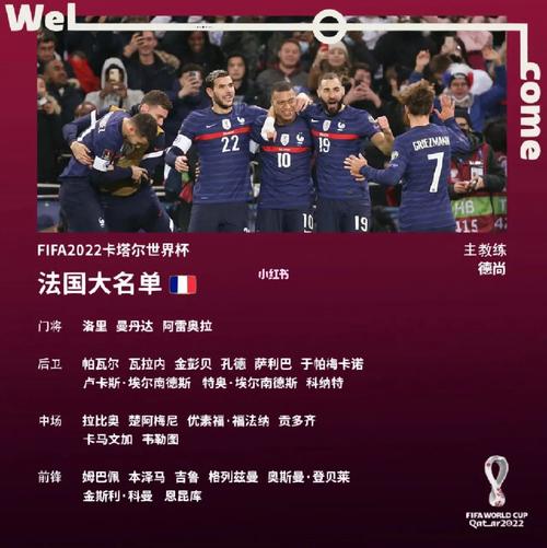 法国欧洲杯名单最新